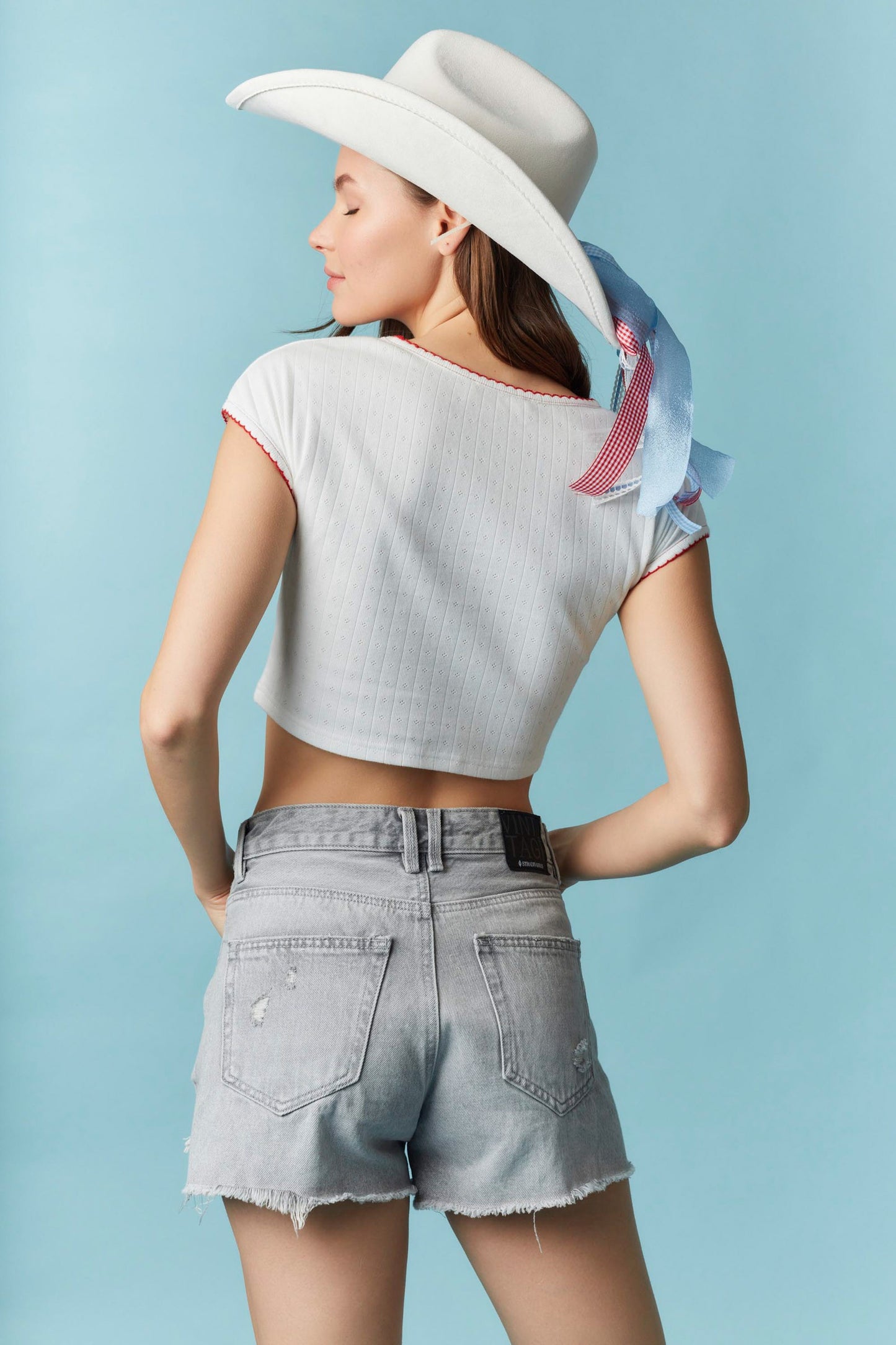 Horseshoe Embroidered Cropped Top