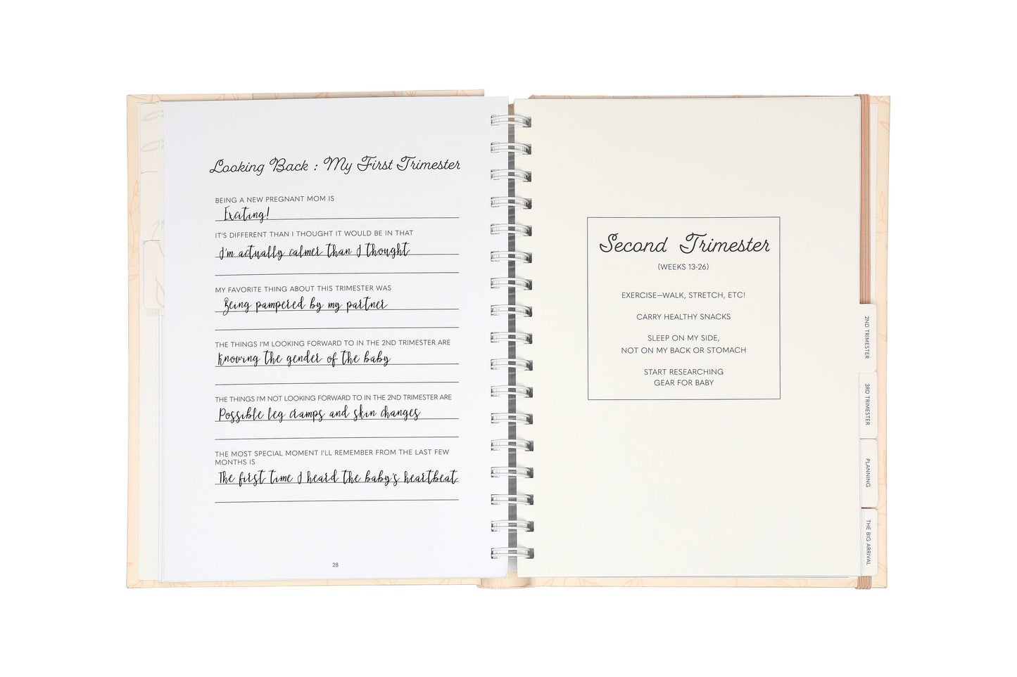 My Pregnancy Keepsake Journal
