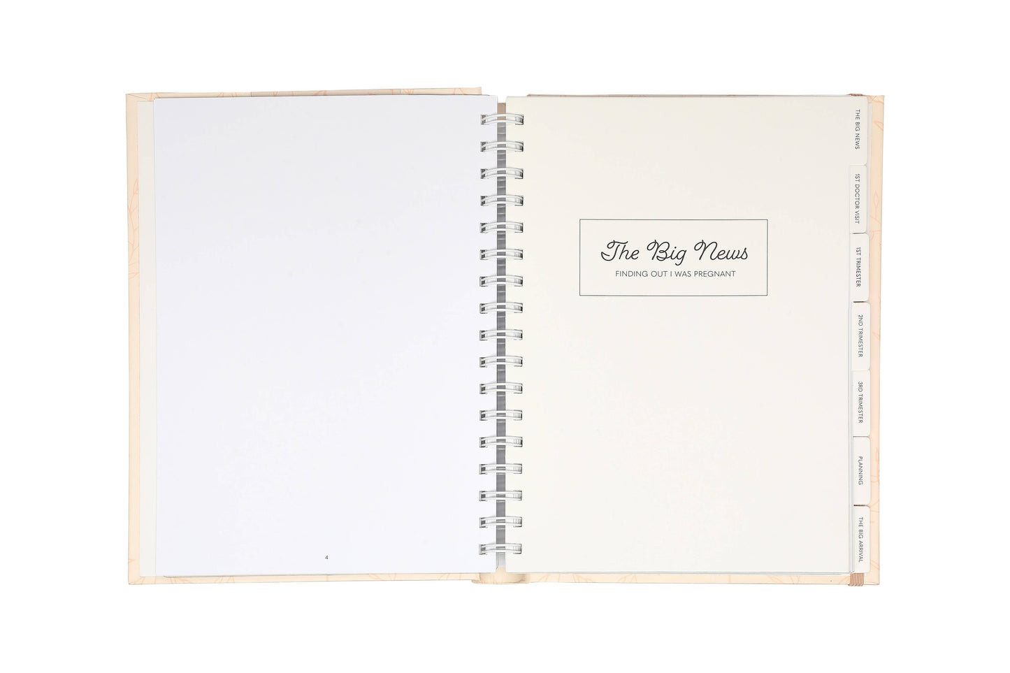 My Pregnancy Keepsake Journal