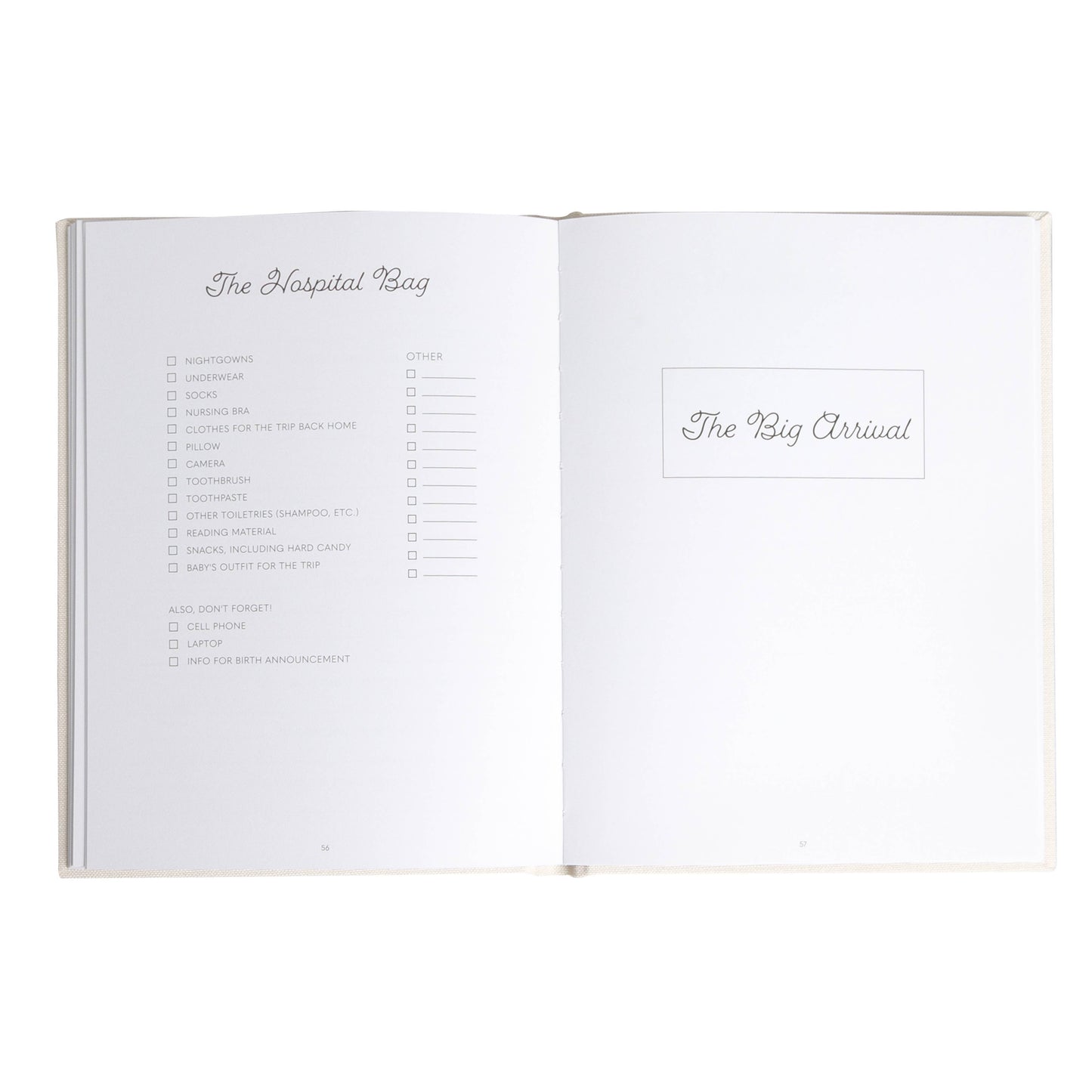 My Pregnancy Journal