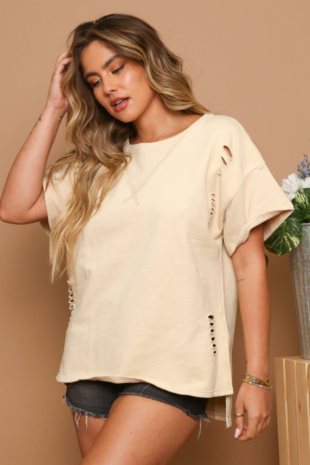 Beige Distressed Knit Top
