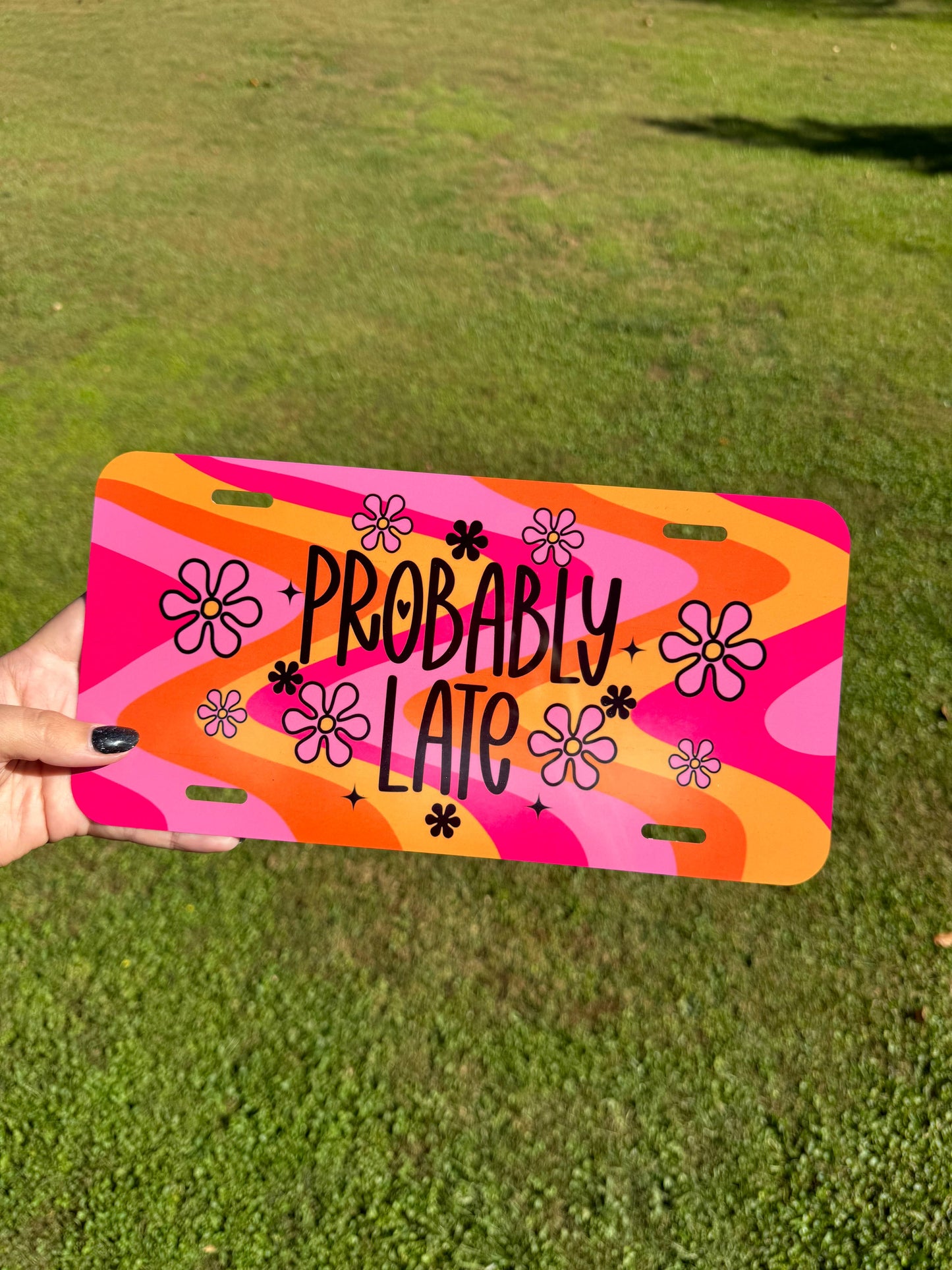License Plate (Multiple Styles)