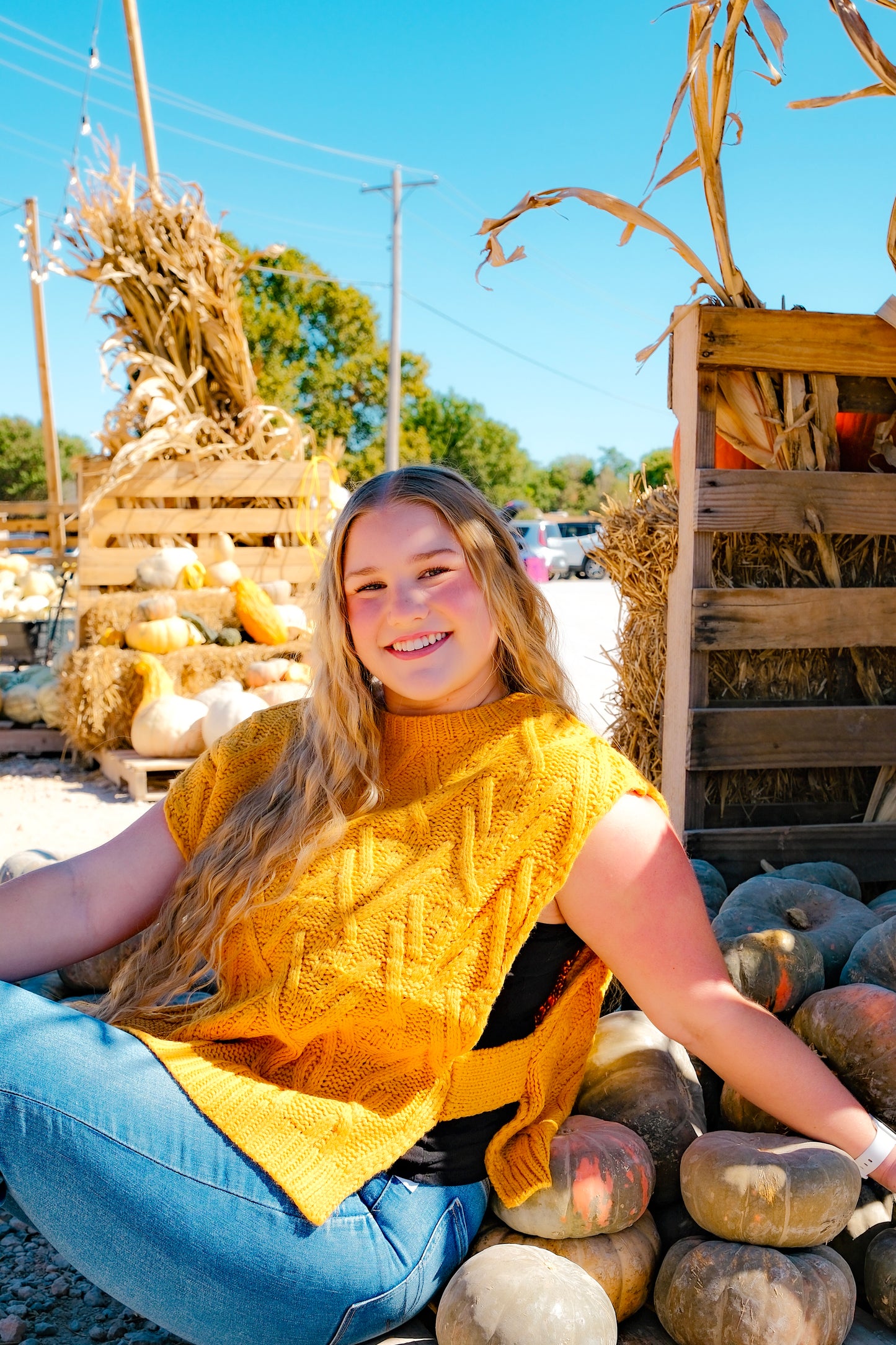 Mustard Seed Sweater Vest