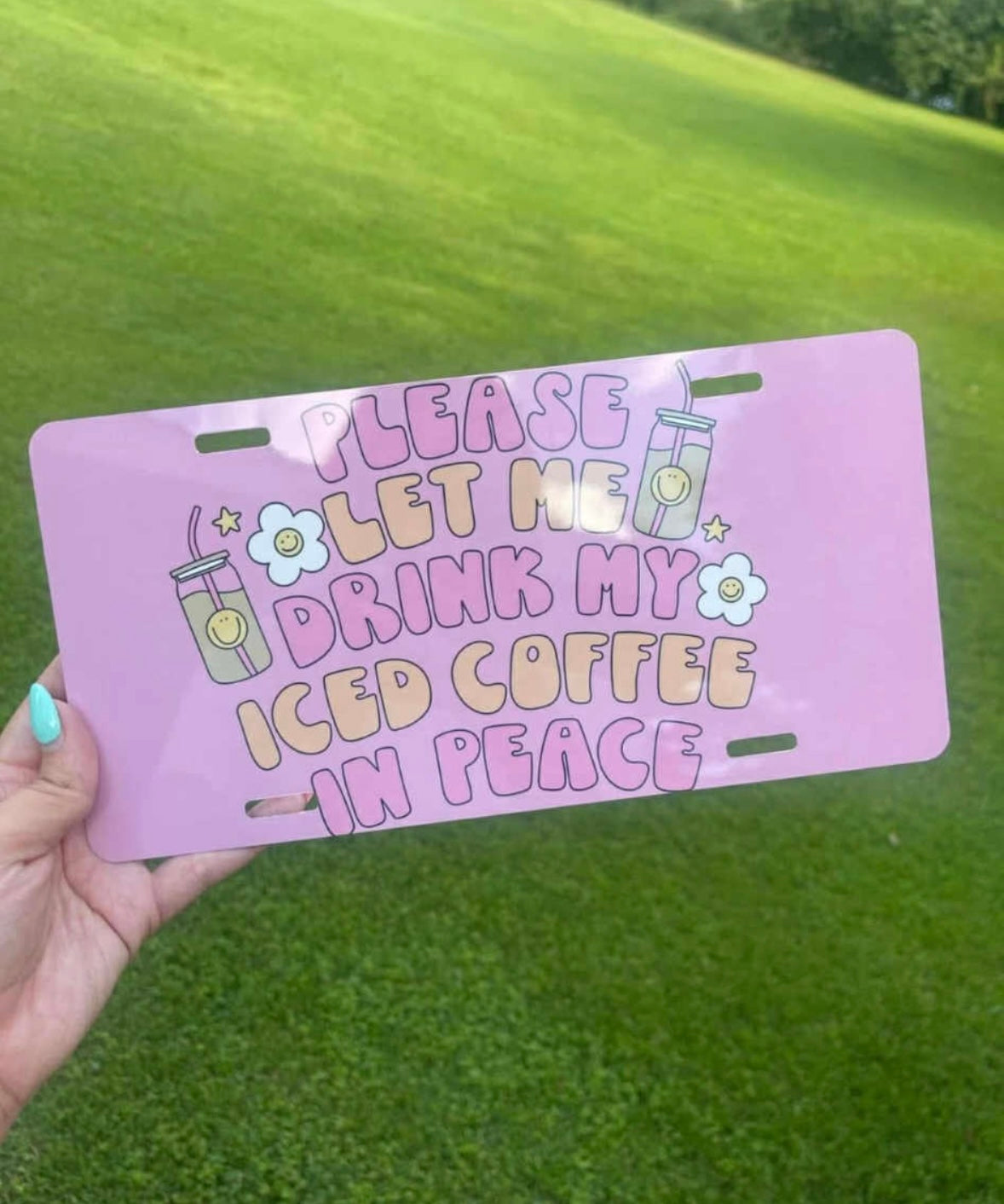 License Plate (Multiple Styles)