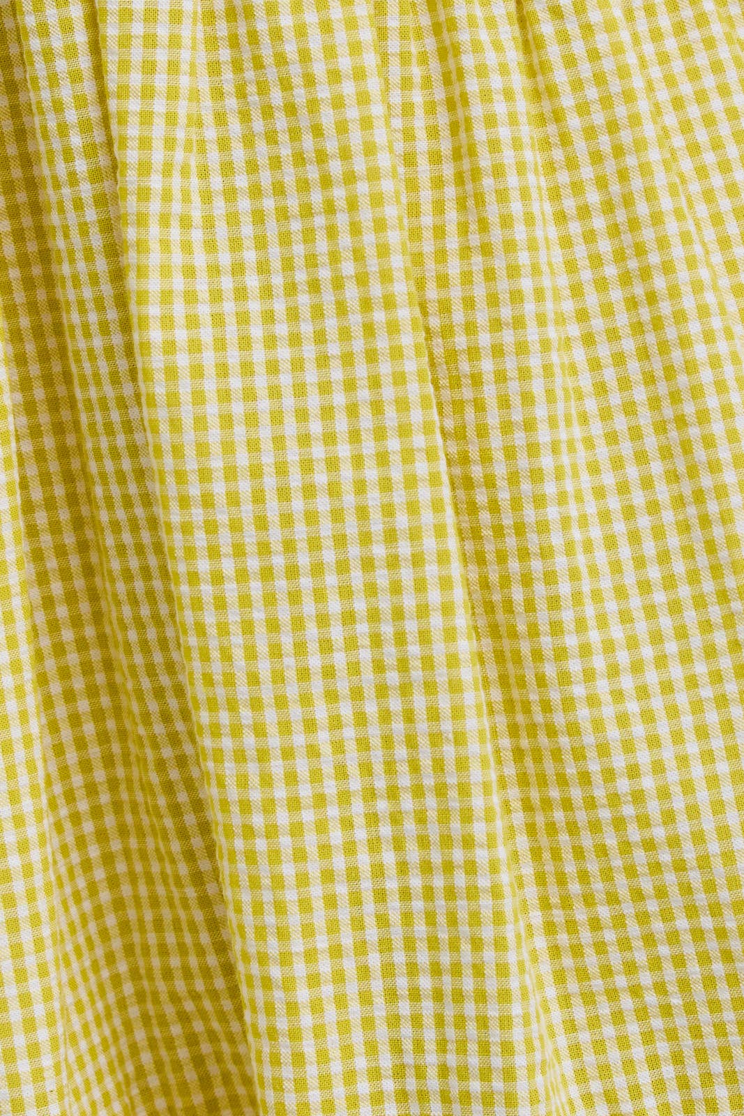 Park Picnic Mini Dress