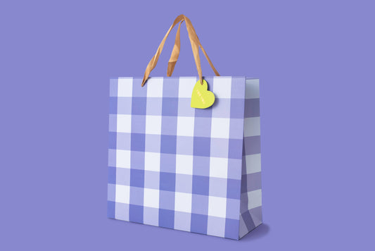 Blue Gingham Gift Bag